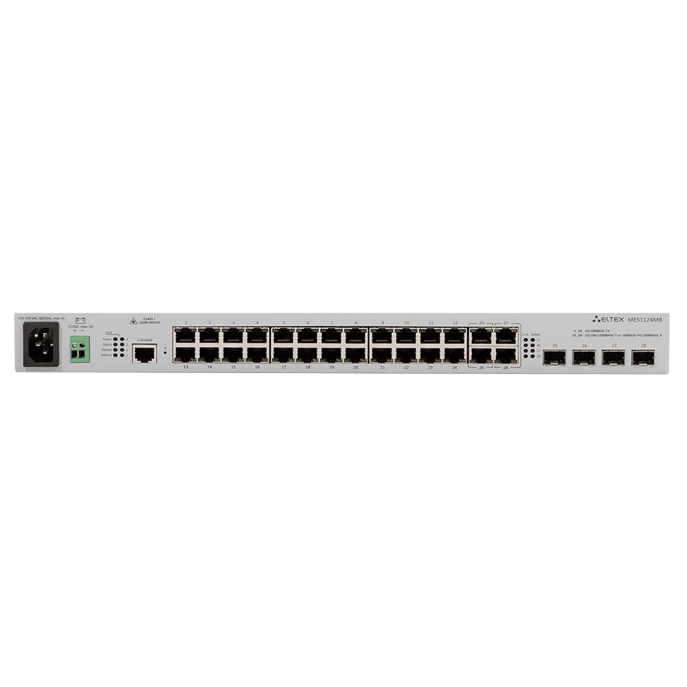 Ethernet Access Switch MES1124M - Infrasol Pakistan